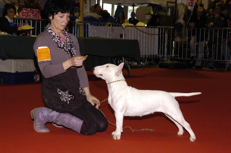 Cup Of Tea Green jasmine